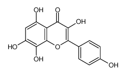 3,5,7,8-tetrahydroxy-2-(4-hydroxyphenyl)chromen-4-one 527-95-7