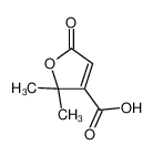 2,2-dimethyl-5-oxofuran-3-carboxylic acid 97416-85-8