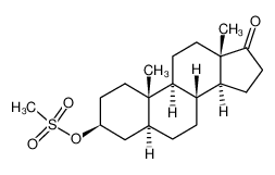 19646-53-8 structure, C20H32O4S