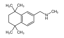N-methyl-1-(5,5,8,8-tetramethyl-6,7-dihydronaphthalen-2-yl)methanamine 950603-16-4