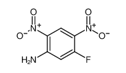 2,4-二硝基-5-氟苯胺