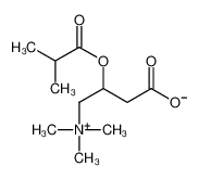 异丁酰基-L-肉碱