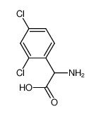 2-amino-2-(2,4-dichlorophenyl)acetic acid 299169-13-4