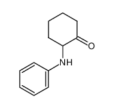 2-anilinocyclohexan-1-one 4504-43-2
