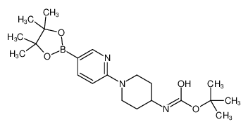 N-[1-[5-(4,4,5,5-四甲基-1,3,2-二噁硼烷-2-基)-2-吡啶]-4-哌啶基]氨基甲酸 1,1-二甲基乙酯