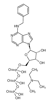 N-苄基腺苷三磷酸酯三乙基铵盐
