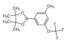 3-甲基-5-(三氟甲氧基)苯硼酸频那醇酯