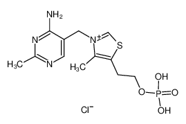 532-40-1 盐酸硫胺素一磷酸盐氯化物