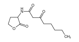 3-oxo-N-(2-oxooxolan-3-yl)octanamide 106983-27-1
