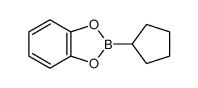 32999-14-7 2-cyclopentyl-1,3,2-benzodioxaborole