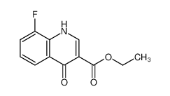 1,4-二羟基-8-氟-4-羰基喹啉-3-羧酸乙酯