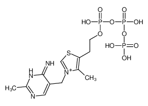 3-[(4-Amino-2-methyl-5-pyrimidinyl)methyl]-5-{2-[(hydroxy{[hydrox y(phosphonooxy)phosphoryl]oxy}phosphoryl)oxy]ethyl}-4-methyl-1,3- thiazol-3-ium 15666-52-1