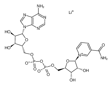 硫异烟酰胺腺嘌呤二核苷酸