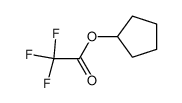 cyclopentyl 2,2,2-trifluoroacetate 703-13-9