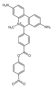3,8-Diamino-5-methyl-6-[4-(4-nitro-phenoxycarbonyl)-phenyl]-phenanthridinium