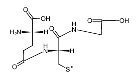 40055-99-0 structure, C10H16N3O6S