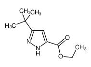 3-叔丁基-1H吡唑-5-甲酸乙酯