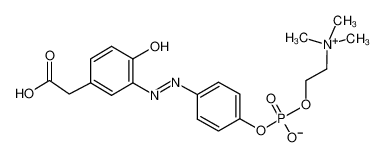 4-羟基-3-(4-重氮基苯基磷酰胆碱)苯基乙酸