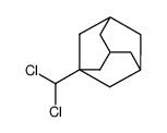 1-dichloromethyladamantane 41171-86-2