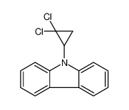 9-(2,2-dichlorocyclopropyl)carbazole 53828-69-6
