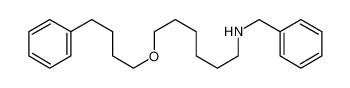 N-benzyl-6-(4-phenylbutoxy)hexan-1-amine 97664-55-6