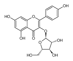 山柰酚 3-O-alpha-L-阿拉伯呋喃糖苷
