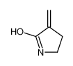 3-methylidenepyrrolidin-2-one 76220-95-6