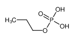 1623-06-9 丙基磷酸二氢酯