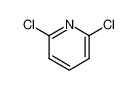 2,6-Dichloropyridine 97%