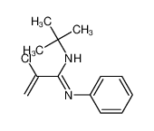 N'-tert-butyl-2-chloro-N-phenylprop-2-enimidamide 85802-07-9