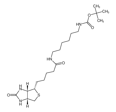 153162-70-0 N-BOC-6-生物素酰氨基己胺