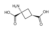 1-氨基环丁烷-反式-1,3-二羧酸