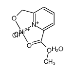 870485-63-5 structure, C8H10Cl2NNiO4+