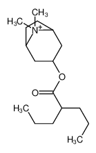 8,8-Dimethyl-3-[(2-propylpentanoyl)oxy]-8-azoniabicyclo[3.2.1]oct ane 70642-90-9
