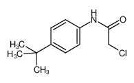 N-(4-叔丁基-苯基)-2-氯乙酰胺