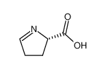 (S)-1-pyrroline-5-carboxylic acid 64199-88-8