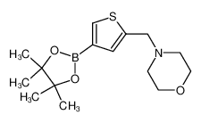 4-{[4-(4,4,5,5-四甲基-1,3,2-二噁硼烷-2-基)噻吩-2-基]甲基}吗啉