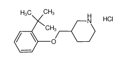 2-(tert-Butyl)phenyl 3-piperidinylmethyl ether hydrochloride 1219960-56-1