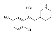 2-Chloro-5-methylphenyl 3-piperidinylmethyl ether hydrochloride 1050509-67-5
