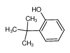 2-tert-Butylphenol 88-18-6