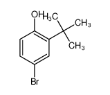 4-bromo-2-tert-butylphenol 10323-39-4