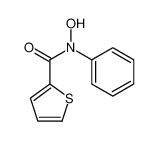 N-hydroxy-N-phenylthiophene-2-carboxamide 29556-13-6