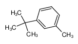 1-tert-butyl-3-methylbenzene 1075-38-3