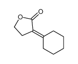3-cyclohexylideneoxolan-2-one 21681-63-0