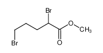 2,5-二溴戊酸甲酯