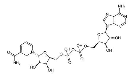2797-78-6 1,2-dihydronicotinamide adenine dinucleotide