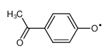 54560-34-8 4-acetylphenol radical