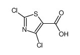 62019-56-1 structure, C4HCl2NO2S