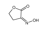 (3Z)-3-hydroxyiminooxolan-2-one 5400-68-0