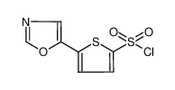 5-(1,3-oxazol-5-yl)thiophene-2-sulfonyl chloride 321309-40-4